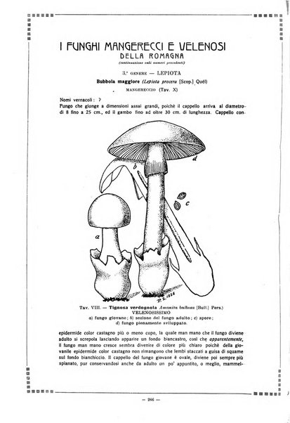 La piè rassegna di illustrazione romagnola