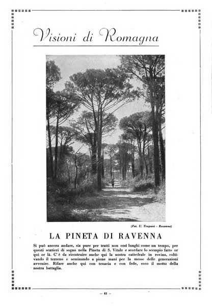 La piè rassegna di illustrazione romagnola