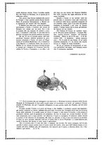 giornale/RAV0033223/1946/unico/00000152