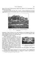 giornale/RAV0036107/1929/unico/00000271