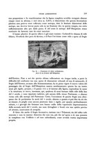 giornale/RAV0036107/1929/unico/00000299