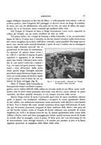 giornale/RAV0036107/1930/unico/00000031
