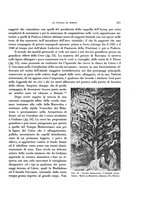 giornale/RAV0036107/1931/unico/00000335