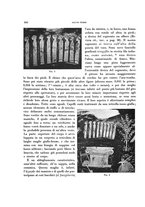 giornale/RAV0036107/1931/unico/00000392