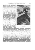 giornale/RAV0036107/1935-1936/unico/00000331