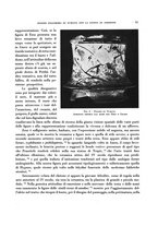 giornale/RAV0036107/1940-1941/unico/00000061