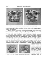 giornale/RAV0036107/1940/unico/00000222