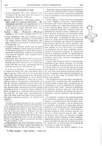 giornale/RAV0068495/1902/unico/00000717