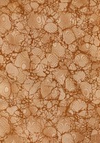 giornale/RAV0070098/1921/unico/00000003