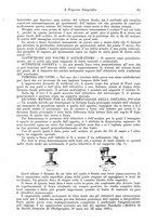 giornale/RAV0071199/1895/unico/00000105