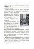 giornale/RAV0071199/1900/unico/00000257