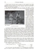 giornale/RAV0071199/1901/unico/00000184