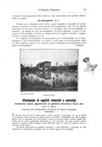 giornale/RAV0071199/1902/unico/00000173