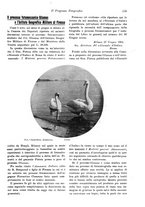 giornale/RAV0071199/1904/unico/00000135