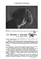 giornale/RAV0071199/1916/unico/00000007