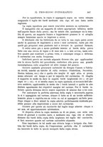 giornale/RAV0071199/1924/unico/00000367