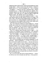giornale/RAV0071782/1875-1876/unico/00000526