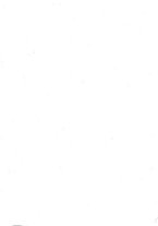 giornale/RAV0082019/1908/unico/00000004