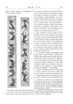 giornale/RAV0082332/1900/unico/00000095