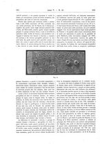 giornale/RAV0082332/1902/unico/00000144