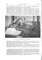 giornale/RAV0082332/1902/unico/00000152