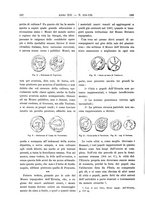 giornale/RAV0082332/1909/unico/00000068