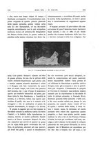 giornale/RAV0082332/1909/unico/00000085