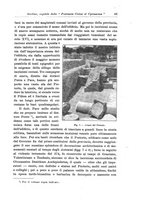 giornale/RAV0082332/1915/unico/00000073