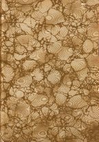 giornale/RAV0082332/1921/unico/00000003