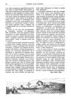 giornale/RAV0096046/1923-1924/unico/00000290