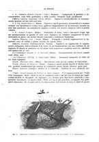 giornale/RAV0096046/1926-1927/unico/00000367