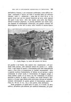 giornale/RAV0098766/1922/unico/00000325