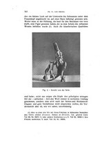 giornale/RAV0098766/1932/unico/00000356