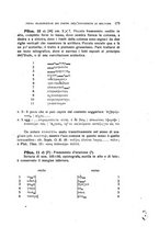 giornale/RAV0098766/1945-1947/unico/00000547