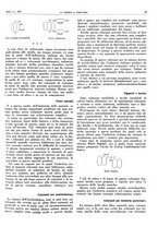 giornale/RAV0099325/1935/unico/00000059