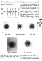 giornale/RAV0099325/1940/unico/00000337