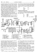 giornale/RAV0099325/1940/unico/00000555