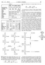 giornale/RAV0099325/1940/unico/00000651