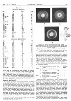 giornale/RAV0099325/1943/unico/00000089