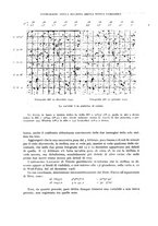 giornale/RAV0099363/1942/unico/00000056