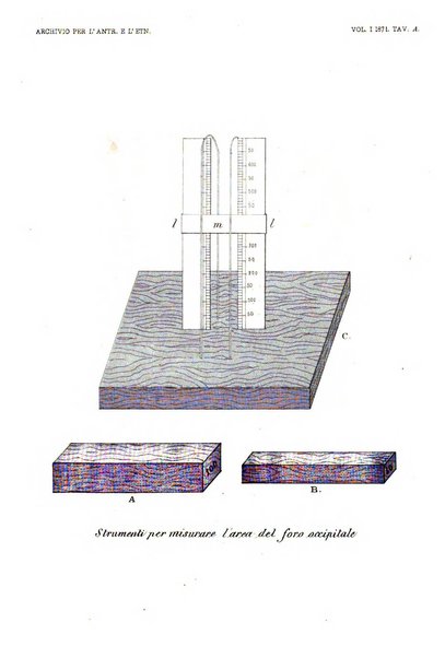 Archivio per l'antropologia e la etnologia