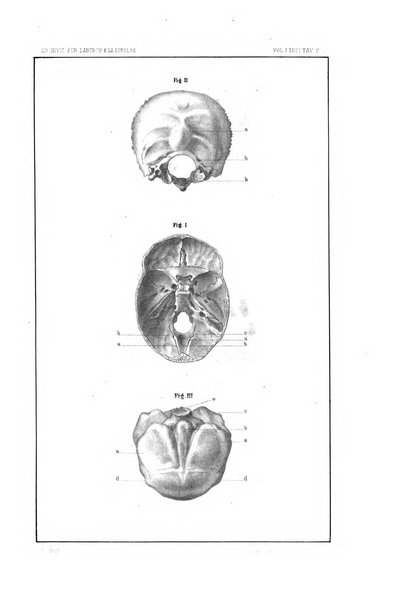 Archivio per l'antropologia e la etnologia