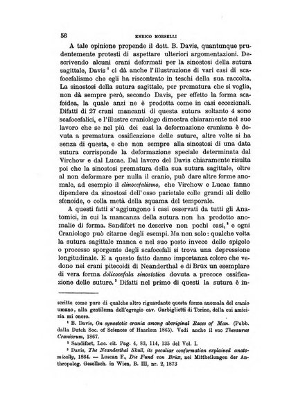 Archivio per l'antropologia e la etnologia