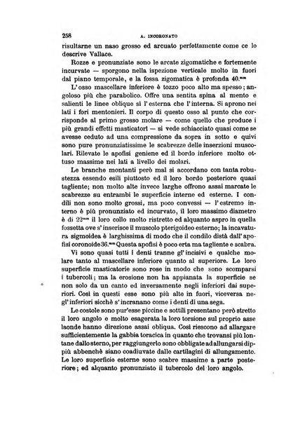 Archivio per l'antropologia e la etnologia