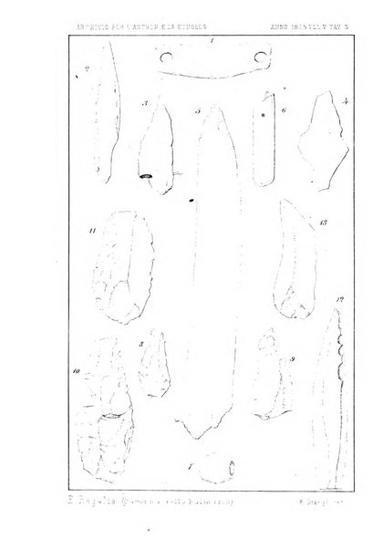 Archivio per l'antropologia e la etnologia