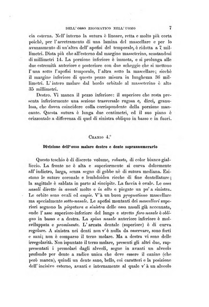 Archivio per l'antropologia e la etnologia