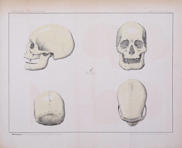 Archivio per l'antropologia e la etnologia