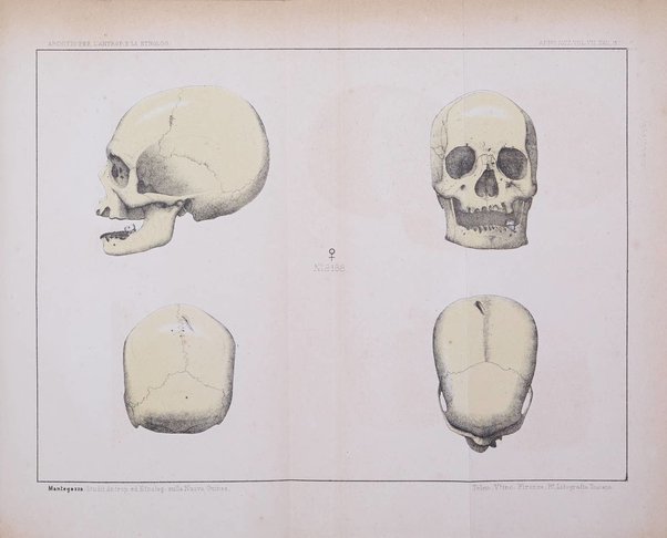 Archivio per l'antropologia e la etnologia