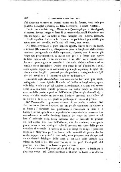 Archivio per l'antropologia e la etnologia