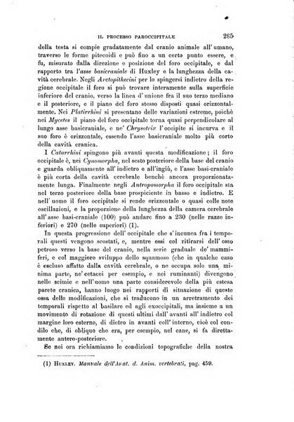 Archivio per l'antropologia e la etnologia